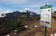 Salita al Monte Campo con distese di crocus e al Laghetto di Pietra Quadra ancora con tanta neve il 9 maggio 2013 - FOTOGALLERY